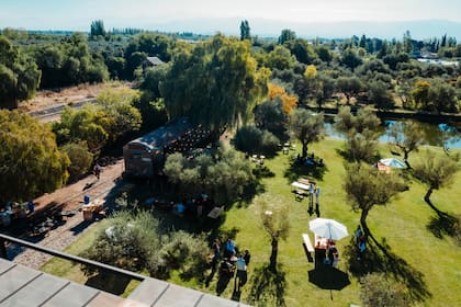 La gastronomía y el vino, las grandes apuestas para atraer turistas