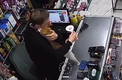 La gata se sube al mostrador y saluda al dueño del local (Foto: @hayat_ticaret53)