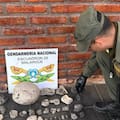 Gendarmería rescató 33 fósiles de hace 300 millones de años que eran transportados en un auto