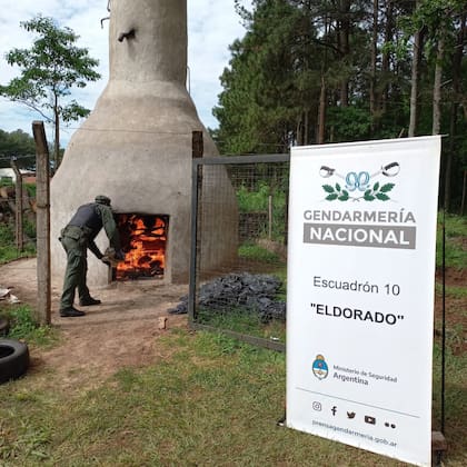 La Gendarmería quemó más de seis toneladas de marihuana en Misiones