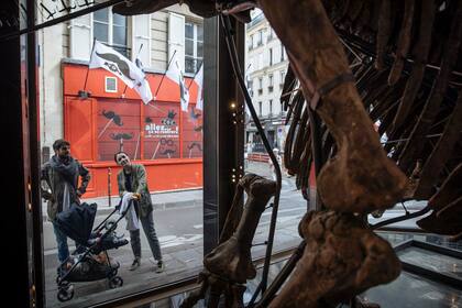 La gente pasa por Big John, el esqueleto de triceratops más grande conocido, mientras lo ensamblan en una sala de exposición en París
