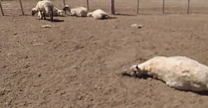 “La gente ya no sabe qué hacer. Cuando te toca de cerca es distinto. Eso es lo que más preocupa”, afirmó el productor