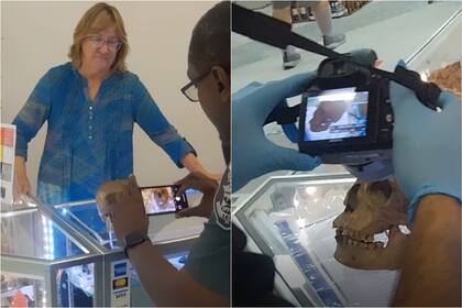 La gerente de la tienda de segunda mano explicó que el cráneo estaba en una unidad de almacenamiento