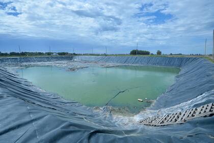 La gestión de residuos en Pehuajó se realiza ahora a partir de una celda de relleno sanitario que evita la contaminación de las napas.