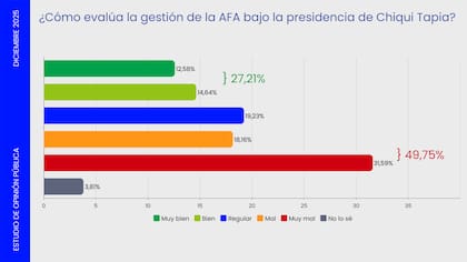 La gestión de Tapia en la AFA, cuestionada