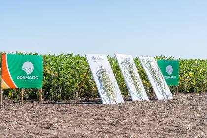 La gira permitió ver en campo cómo rinde cada variedad y compartir prácticas de manejo específicas para cada región