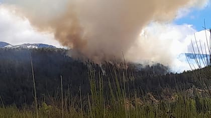 La gobernadora Arabela Carreras condenó “la intencionalidad e imprudencia que provocaron este incendio"