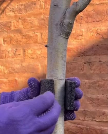 La goma espuma debe cubrir toda la superficie.