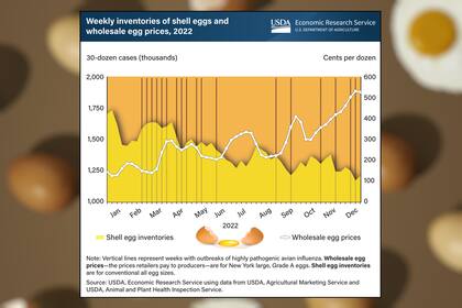 La gráfica muestra la disponibilidad de huevos (área amarilla) contra el precio en el mercado (línea blanca) a lo largo del año 2022