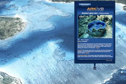 La gran barrera de coral de Australia en el nuevo Earth 5.0