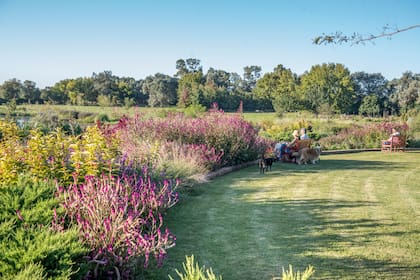 La gran bordura principal de impronta naturalista contiene el muro que disimula la diferencia de nivel entre la casa y el campo