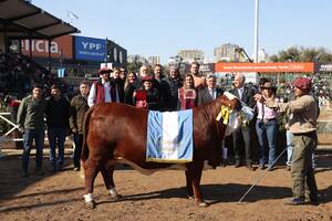 La Gran Campeón Hembra de la raza Braford fue “Martina”, una vaquillona del box 721, presentada por la cabaña El Amargo, ubicada en el norte de la provincia de Santa Fe, de Eduardo Martínez Ferrario, Don Nicasio de RL, Goicoechea y La Doro de Fedhec