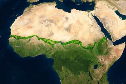 La Gran Muralla Verde pretende extenderse desde Yibuti hasta Senegal
