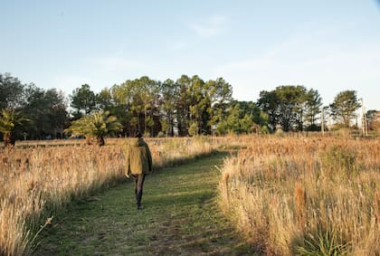 La gran pradera donde predomina la paja colorada (Schizachyrium microstachyum) que crece naturalmente en el lugar. Los senderos son anchos para caminar de a dos.