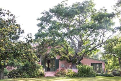 La gran terraza, que fue corral de las vacas cuando la casa era tambo y hoy es el lugar preferido de la familia bajo el viejo paraíso.