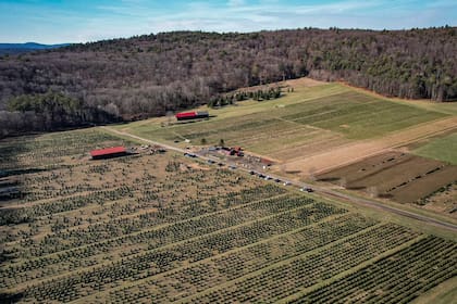 La granja creció como un proyecto familiar, apoyado en experiencia técnica y trabajo cotidiano