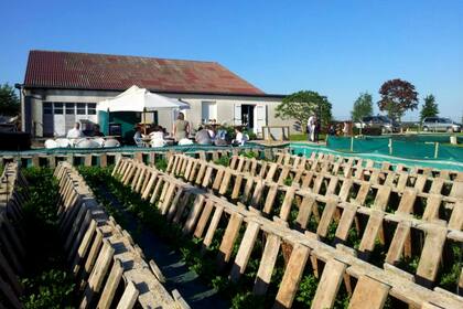 La granja de la empresa familiar L’Escargot Des Grands Crus, en la región de Bouzy, al nordeste de Francia