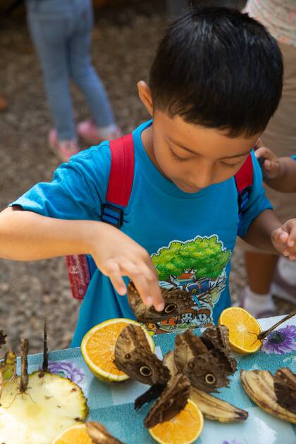 La granja de mariposas de Chaa Creek suele ser visitada por niños en edad escolar.