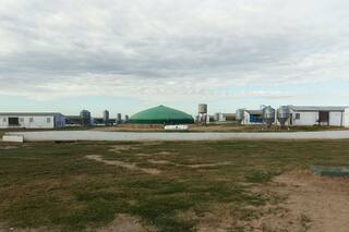 Biogás: energía renovable para el largo plazo