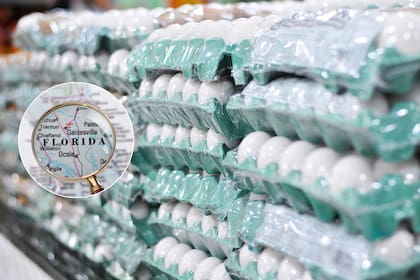 La gripe aviar incrementó el precio de los huevos en Florida y el resto de Estados Unidos