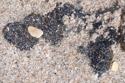 La Guardia Costera busca descubrir el origen de la contaminación en las playas