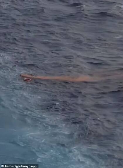 La Guardia Costera de Estados Unidos, asistida por la tripulación aérea, buscó alrededor de 14 horas antes de suspender su búsqueda (Crédito: Fox 8)