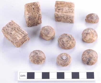 La guerrera fue enterrada con un juego de dados