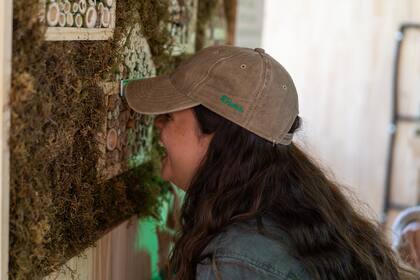 La guía publicada promueve 10 principios generales que funcionan como una base a partir de la cual se pueden definir estrategias particulares.