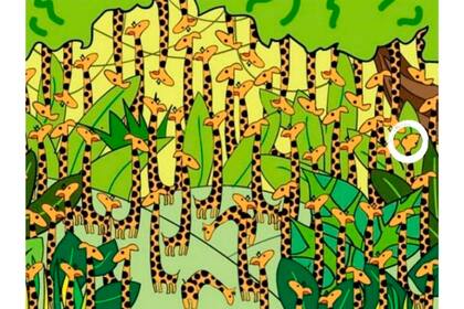 ¿La habías encontrado?