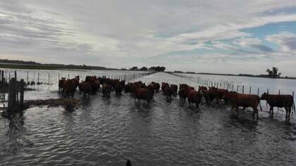 La hacienda, afectada por el agua