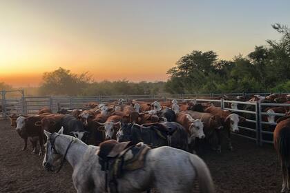 La hacienda de Debloc en la isla