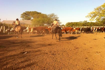 La hacienda de Landver, cuando todavía se encontraba en el campo Buena Vista, de su propiedad en el departamento correntino de Curuzú Cuatiá