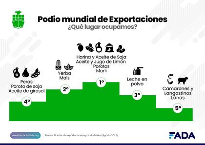 La harina, aceite de soja, aceites, jugo de limón, porotos y maní entre los primeros lugares en el podio de las exportaciones del agro