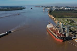 Preocupación por alertas de la Unión Europea por la detección de una soja argentina no aprobada en ese mercado