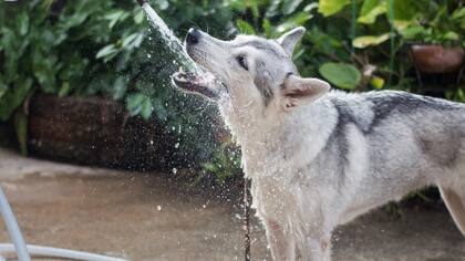 La hidratación es fundamental