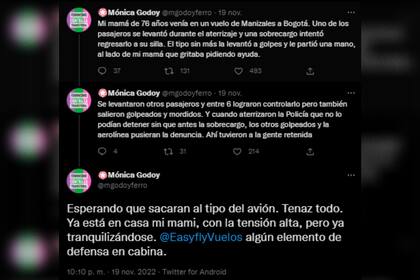 La hija de una pasajera del vuelo compartió detalles del ataque del hombre a la azafata (Foto: Twitter @mgodoyferro)