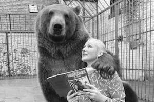 El oso que fue adoptado por una pareja, desayunaba en familia y hasta debutó en la televisión