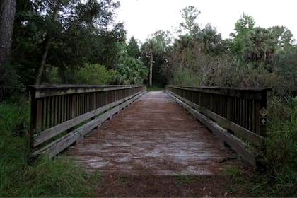 La historia de Hyman sucedió en un camino de tierra cercano al puente del río Econlockhatchee (Flickr)