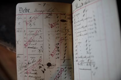 La historia de la escuela recuperada en el paraje La Paloma