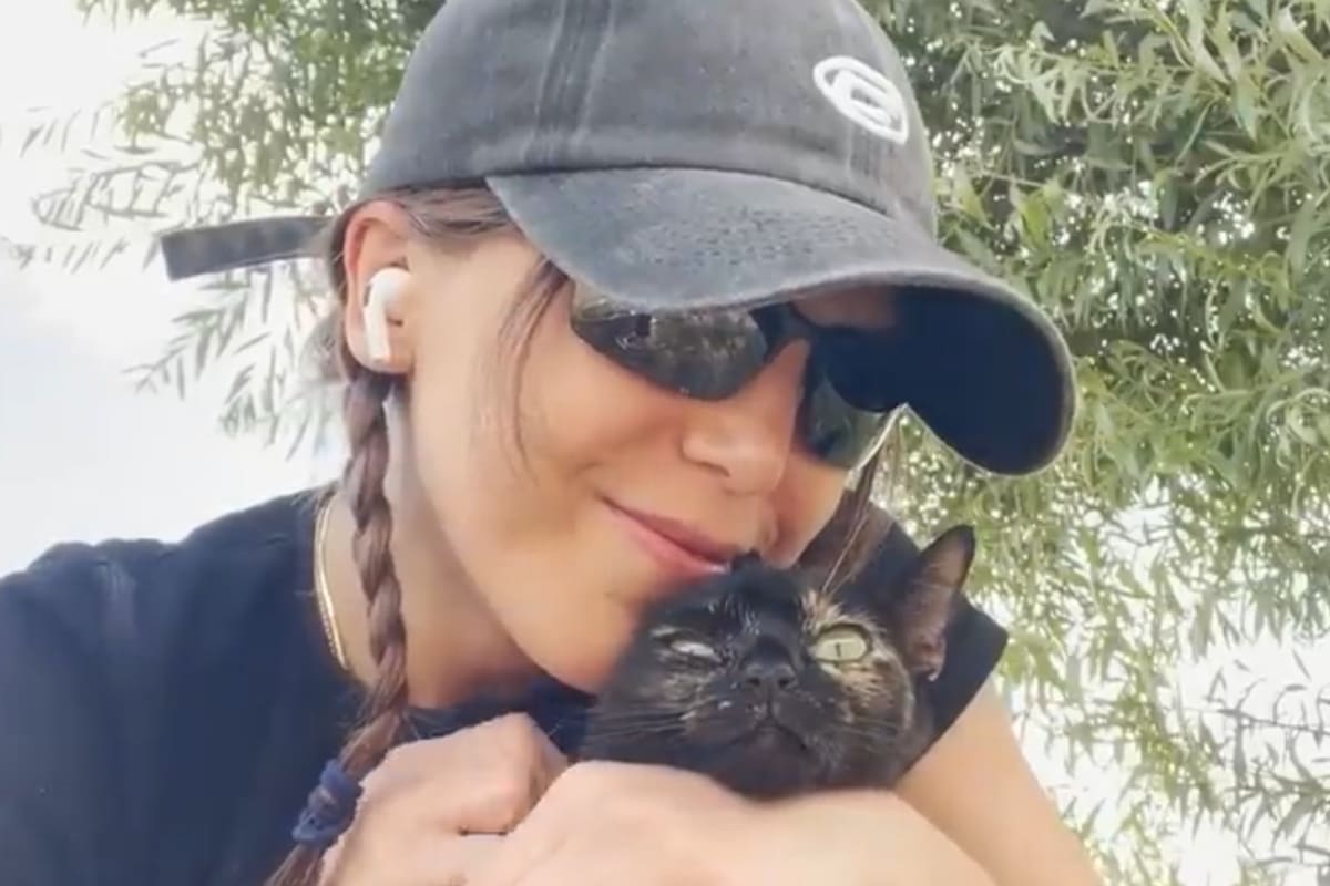 Ele encontrou um gato que não parava de miar para ele e, quando o levou ao veterinário, não conseguia acreditar no que estava causando isso. Ele encontrou um gato que não parava de miar para ele e, quando o levou ao veterinário, não conseguia acreditar no que estava causando isso.