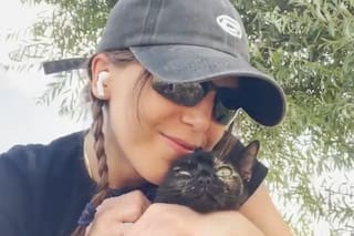 Encontró una gata que no paraba de maullarle y cuando la llevó al veterinario no podía creer la razón detrás