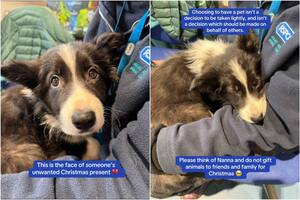 La historia de Nanna que conmovió a Inglaterra. Fue adoptada y abandonada en Navidad