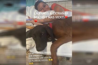 La historia de Polito Pieres donde contó la triste noticia de la muerte de su mascota