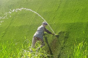 La historia del niño de los Países Bajos que evitó que su país se inundara al tapar con su dedo un agujero de un dique