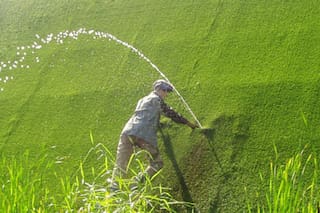 La historia del niño de los Países Bajos que evitó una inundación al tapar con su dedo un agujero de un dique