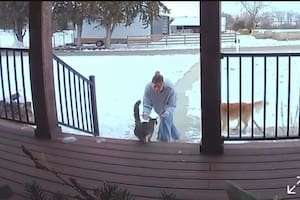 Escuchó un ruido extraño en la puerta de su casa y cuando fue a ver la cámara, no podía creer quién había vuelto