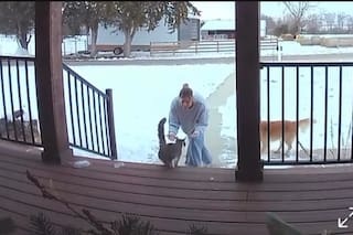 Escuchó un ruido extraño en la puerta de su casa y cuando fue a ver la cámara, no podía creer quién había vuelto