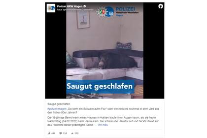 La historia fue narrada a través de Facebook