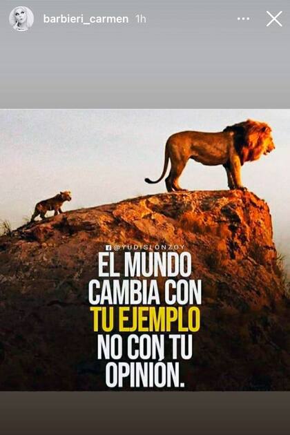 La historia que compartió Carmen Barbieri en Instagram