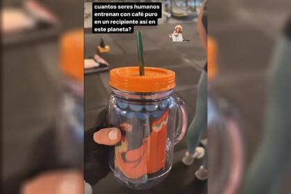 La historia que compartió Guillermina Valdés en su cuenta de Instagram
